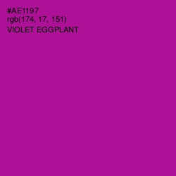 #AE1197 - Violet Eggplant Color Image