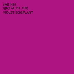 #AE1481 - Violet Eggplant Color Image