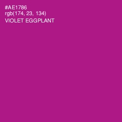 #AE1786 - Violet Eggplant Color Image