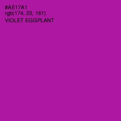 #AE17A1 - Violet Eggplant Color Image