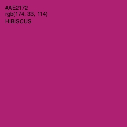 #AE2172 - Hibiscus Color Image