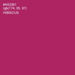 #AE2361 - Hibiscus Color Image