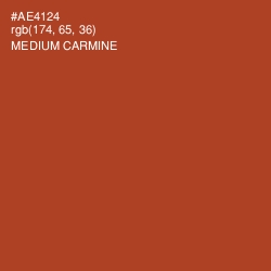 #AE4124 - Medium Carmine Color Image