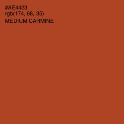 #AE4423 - Medium Carmine Color Image