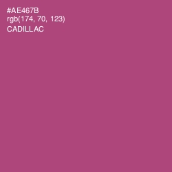 #AE467B - Cadillac Color Image