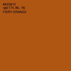 #AE5612 - Fiery Orange Color Image