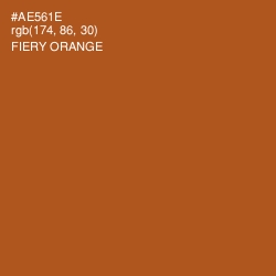 #AE561E - Fiery Orange Color Image
