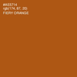 #AE5714 - Fiery Orange Color Image