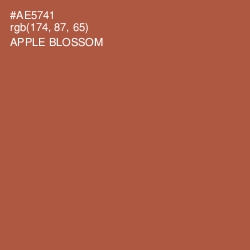 #AE5741 - Apple Blossom Color Image