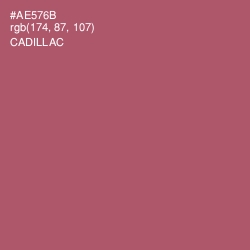 #AE576B - Cadillac Color Image
