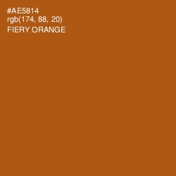 #AE5814 - Fiery Orange Color Image