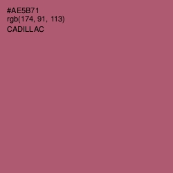 #AE5B71 - Cadillac Color Image