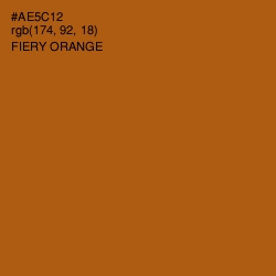 #AE5C12 - Fiery Orange Color Image