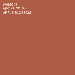 #AE5C44 - Apple Blossom Color Image