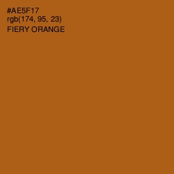 #AE5F17 - Fiery Orange Color Image