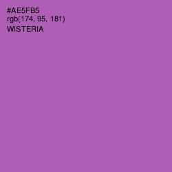 #AE5FB5 - Wisteria Color Image