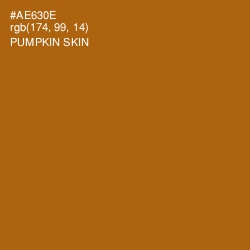 #AE630E - Pumpkin Skin Color Image