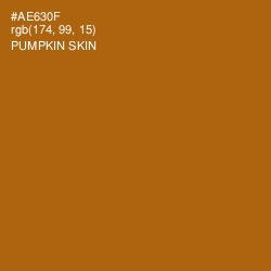 #AE630F - Pumpkin Skin Color Image