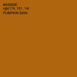 #AE650E - Pumpkin Skin Color Image