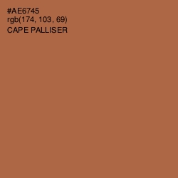 #AE6745 - Cape Palliser Color Image