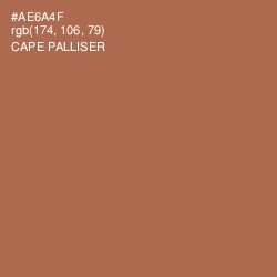#AE6A4F - Cape Palliser Color Image