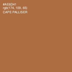 #AE6D41 - Cape Palliser Color Image
