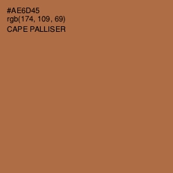 #AE6D45 - Cape Palliser Color Image