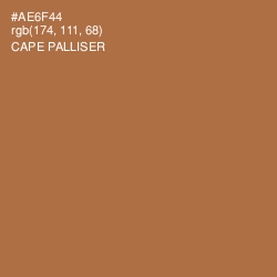 #AE6F44 - Cape Palliser Color Image