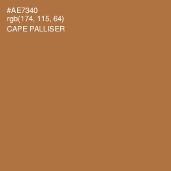 #AE7340 - Cape Palliser Color Image