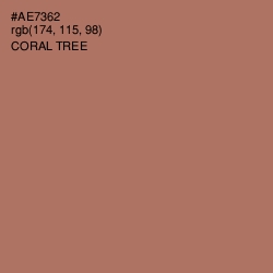#AE7362 - Coral Tree Color Image