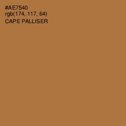 #AE7540 - Cape Palliser Color Image