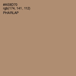 #AE8D70 - Pharlap Color Image