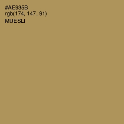 #AE935B - Muesli Color Image