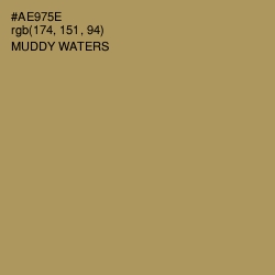 #AE975E - Muddy Waters Color Image