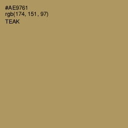 #AE9761 - Teak Color Image