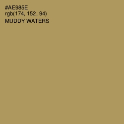 #AE985E - Muddy Waters Color Image