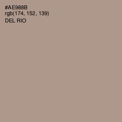 #AE988B - Del Rio Color Image