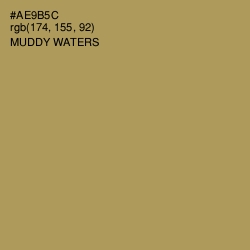 #AE9B5C - Muddy Waters Color Image