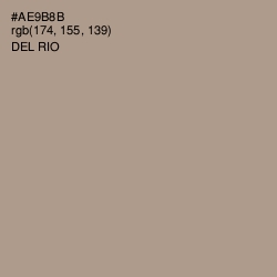 #AE9B8B - Del Rio Color Image