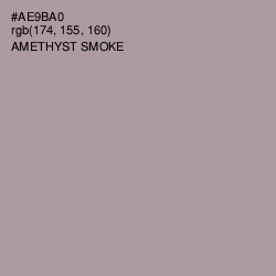 #AE9BA0 - Amethyst Smoke Color Image