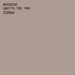 #AE9C92 - Zorba Color Image