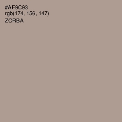 #AE9C93 - Zorba Color Image
