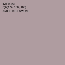 #AE9CA0 - Amethyst Smoke Color Image