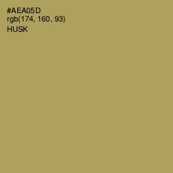 #AEA05D - Husk Color Image