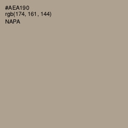 #AEA190 - Napa Color Image