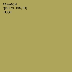 #AEA55B - Husk Color Image