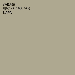 #AEA891 - Napa Color Image