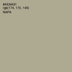 #AEAA91 - Napa Color Image