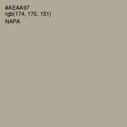 #AEAA97 - Napa Color Image