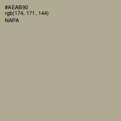 #AEAB90 - Napa Color Image